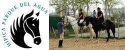 Sorteo de dos cursos de equitación para aprender a montar a caballo, gentileza de la Hípica Parque del Agua