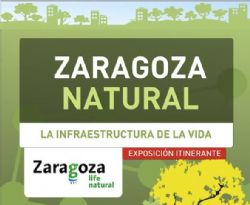 «Zaragoza Natural» muestra el valor de los ríos, humedales, estepa y parques de la ciudad