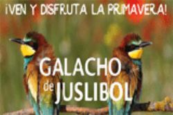 Primavera en el Galacho de Juslibol