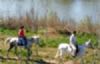 El Parque del Agua estrena rutas a caballo y de canoa