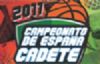 Fase Final del Campeonato de España de Baloncesto Cadete masculino y femenino 