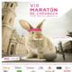 Este domingo, no te pierdas la Maratón Internacional de Zaragoza [Gran Premio Ibercaja] y una prueba corta de 10k