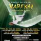 El Circo del Sol vuelve a Zaragoza con su espectáculo «Varekai»