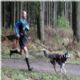 ¿Quieres correr con tu perro? Practica el Canicross