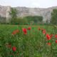 Esta primavera, disfruta de las rutas ZaragozAnda