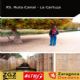 Ruta 5 ZaragozAnda: Canal Imperial hasta La Cartuja