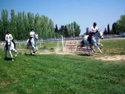 Carreras de caballos «Pilar 2012»