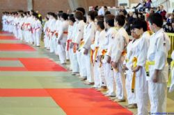 Fiesta del Judo en Aragón