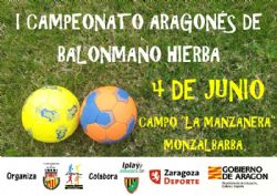  I Torneo Aragonés de Balonmano Hierba
