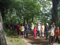 Rutas a pie y en bici por las Riberas del Gállego (salidas gratuitas)