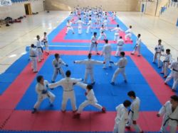 Centro de tecnificación deportiva de la Federación Aragonesa de Karate