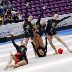 El Campeonato de España de Conjuntos de Gimnasia Rítmica se disputará en Zaragoza