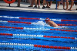 XX Gran Premio de Natación Stadium Venecia