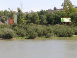 Descubre la naturaleza del Ebro a su paso por nuestra ciudad