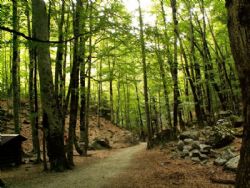 Otoño, la estación perfecta para practicar senderismo y BTT