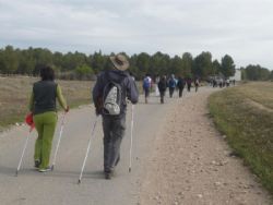¿Conoces el Nordic Walking ó Marcha Nórdica?