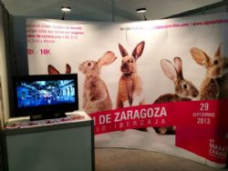 La Maratón de Zaragoza 2013 se presentó en Barcelona