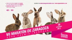 Entrena el Maratón de Zaragoza con el mejor equipo