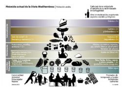 Nutrición, salud, dolor y calidad de vida