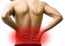 Prevención y tratamiento de la osteoporosis con la actividad física y el deporte