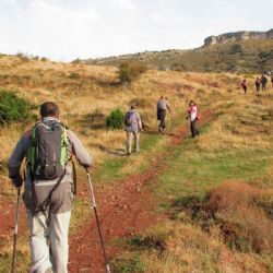 Los beneficios del Nordic Walking