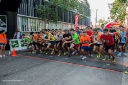 Más de 1.000 corredores participaron en la II Carrera Popular 4K Martín Martín. G. P. Fiestas de San José