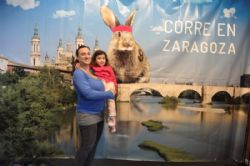 Las carreras más importantes de Zaragoza, presentes en Madrid