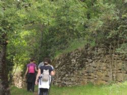 Acondicionamiento del Sendero Turístico de Aragón GR 15