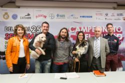Zaragoza acogerá el próximo Mundial de Agility