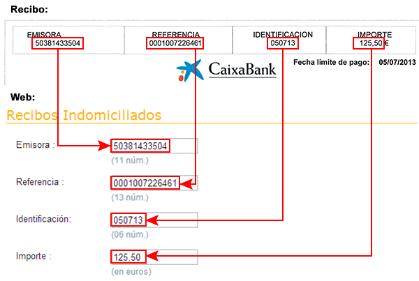 Pago Online 1