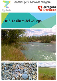 Ruta 16: La ribera del Gállego