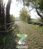 Las rutas ZaragozAnda, ideales para correr o ir el bici