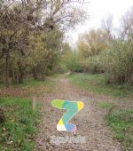 Ruta 2 ZaragozAnda: Paseando por tres ríos