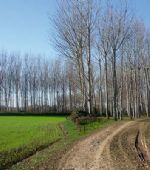 Ruta 20 ZaragozAnda: Entre el Ebro y el Jalón