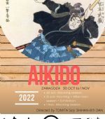 Curso de Aikido