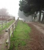 Ruta 5 ZaragozAnda: Canal Imperial hasta La Cartuja