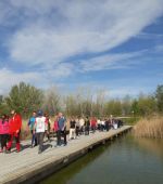 Quedadas activas para caminar dirigidas a mayores de 55 años