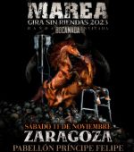 Concierto de Marea