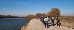 Este fin de semana tienes una cita con el Nordic Walking Este fin de semana tienes una cita con el Nordic Walking