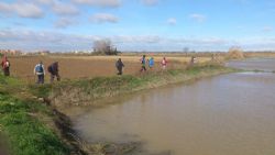 Este fin de semana tienes una cita con el Nordic Walking Este fin de semana tienes una cita con el Nordic Walking