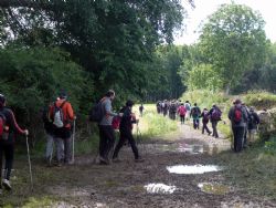 Este fin de semana tienes una cita con el Nordic Walking Este fin de semana tienes una cita con el Nordic Walking
