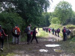 Este fin de semana tienes una cita con el Nordic Walking