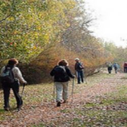 Este fin de semana tienes una cita con el Nordic Walking Este fin de semana tienes una cita con el Nordic Walking