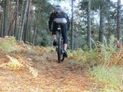 ¿Es bueno hacer bicicleta cuando me estoy preparando una carrera popular?