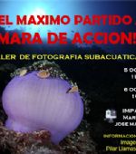 Taller de Fotografía Subacuática