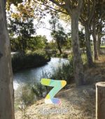 Ruta 6 ZaragozAnda: Ruta por el Canal y los Pinares de Venecia