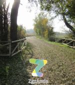 Ruta 4 ZaragozAnda: Camino natural del Ebro [ZGZ-Cartuja]