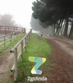 Ruta 5 ZaragozAnda: Canal Imperial hasta La Cartuja