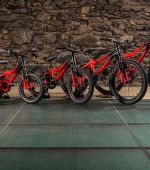 ¿Cómo elegir una bicicleta para niños?
