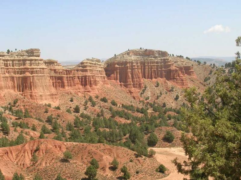 Senderismo: Rambla de Barrachina (Teruel)